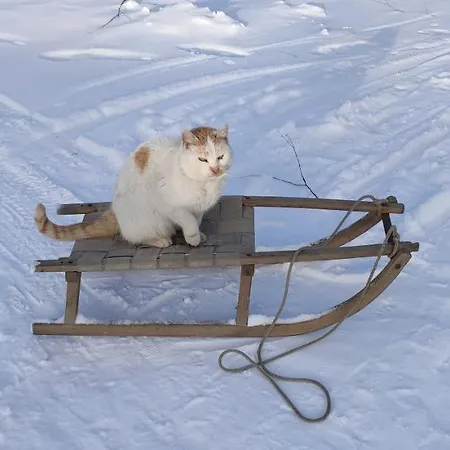 Feriegård Dzika Zagroda *