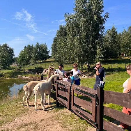Dzika Zagroda Farm stay Dziemiany