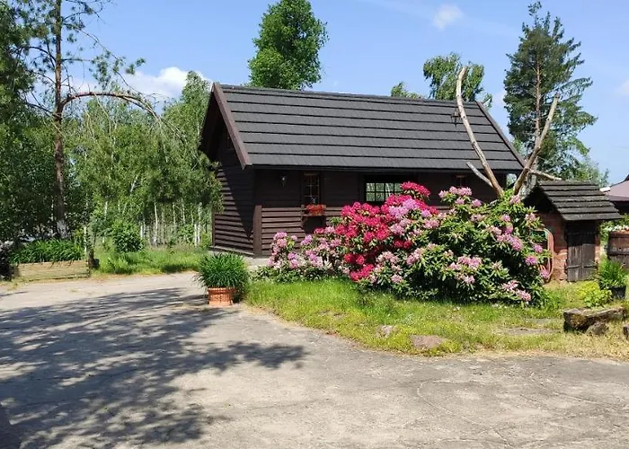 Dzika Zagroda Farma *