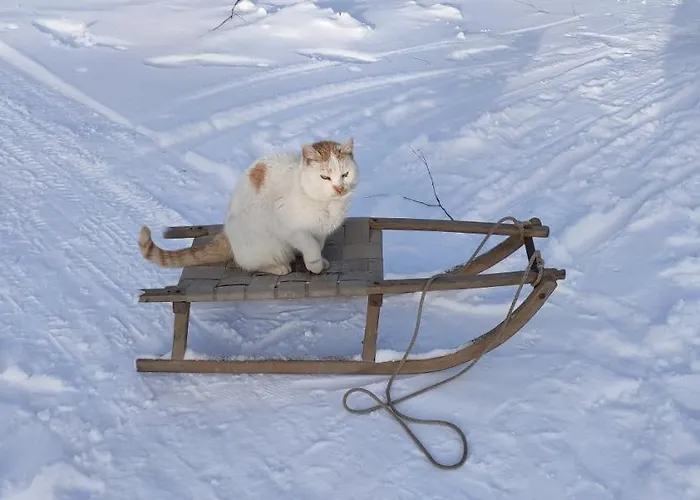 Farma Dzika Zagroda *