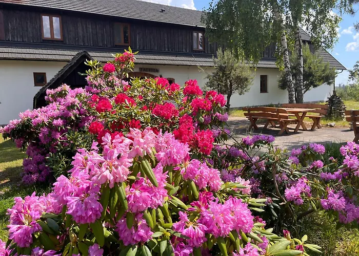 Dzika Zagroda Farma *