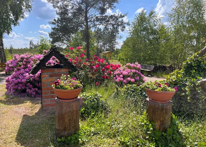 Dzika Zagroda Farma *