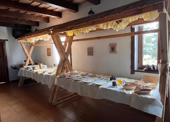 Dzika Zagroda * Dziemiany