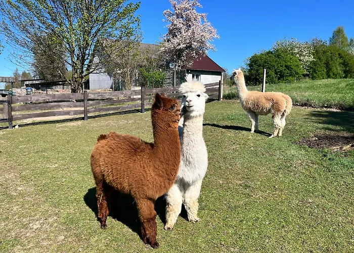 Farma Dzika Zagroda Dziemiany